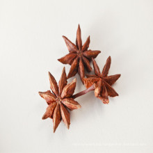 Star Anise